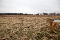 property photo for Canadian Plains Tract 24, 5.78 acres for sale in Pittsburg County, Oklahoma