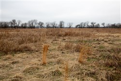 property photo for Canadian Plains Tract 24, 5.78 acres for sale in Pittsburg County, Oklahoma