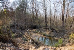 property photo for Eufaula Cove Tract 1, 6.17 acres for sale in Pittsburg County, Oklahoma