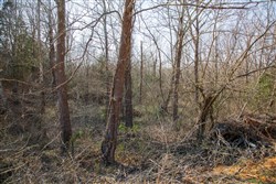 property photo for Eufaula Cove Tract 1, 6.17 acres for sale in Pittsburg County, Oklahoma