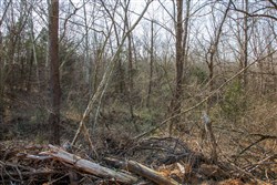 property photo for Eufaula Cove Tract 1, 6.17 acres for sale in Pittsburg County, Oklahoma