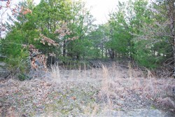 property photo for Eufaula Cove Tract 28, 5.2 acres for sale in Pittsburg County, Oklahoma