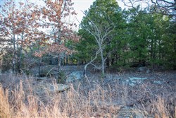 property photo for Eufaula Cove Tract 28, 5.2 acres for sale in Pittsburg County, Oklahoma