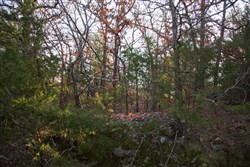 property photo for Eufaula Cove Tract 28, 5.2 acres for sale in Pittsburg County, Oklahoma