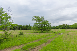 property photo for Harmony Hills Tract 11, 6.02 acres for sale in Pittsburg County, Oklahoma