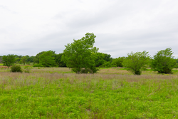 property photo for Harmony Hills Tract 11, 6.02 acres for sale in Pittsburg County, Oklahoma