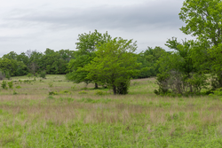 property photo for Harmony Hills Tract 11, 6.02 acres for sale in Pittsburg County, Oklahoma