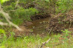 property photo for Harmony Hills Tract 14, 4.88 acres for sale in Pittsburg County, Oklahoma