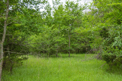 property photo for Harmony Hills Tract 14, 4.88 acres for sale in Pittsburg County, Oklahoma