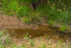 property photo for Harmony Hills Tract 14, 4.88 acres for sale in Pittsburg County, Oklahoma