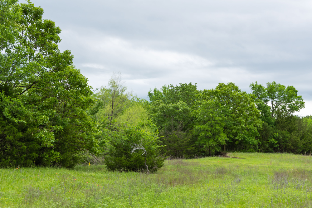 4.88 acre rural land tract for sale at Harmony Hills Tract 14 in Pittsburg County, Oklahoma