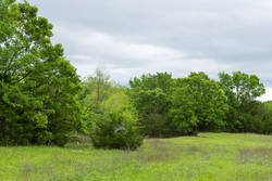property photo for Harmony Hills Tract 14, 4.88 acres for sale in Pittsburg County, Oklahoma