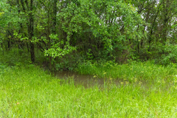 property photo for Harmony Hills Tract 16, 5.28 acres for sale in Pittsburg County, Oklahoma