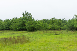 property photo for Harmony Hills Tract 16, 5.28 acres for sale in Pittsburg County, Oklahoma
