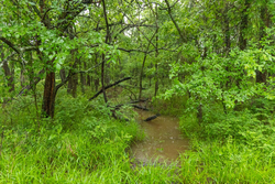 property photo for Harmony Hills Tract 16, 5.28 acres for sale in Pittsburg County, Oklahoma