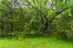 property photo for Harmony Hills Tract 16, 5.28 acres for sale in Pittsburg County, Oklahoma