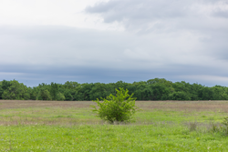 property photo for Harmony Hills Tract 29, 6.35 acres for sale in Pittsburg County, Oklahoma