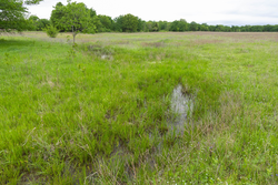 property photo for Harmony Hills Tract 29, 6.35 acres for sale in Pittsburg County, Oklahoma