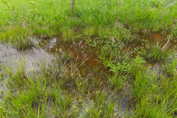 property photo for Harmony Hills Tract 29, 6.35 acres for sale in Pittsburg County, Oklahoma