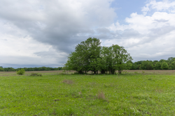 property photo for Harmony Hills Tract 29, 6.35 acres for sale in Pittsburg County, Oklahoma
