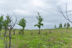 property photo for Harmony Hills Tract 3, 4.82 acres for sale in Pittsburg County, Oklahoma