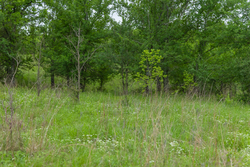 property photo for Harmony Hills Tract 3, 4.82 acres for sale in Pittsburg County, Oklahoma