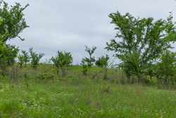 property photo for Harmony Hills Tract 3, 4.82 acres for sale in Pittsburg County, Oklahoma