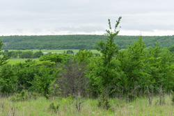 property photo for Harmony Hills Tract 3, 4.82 acres for sale in Pittsburg County, Oklahoma