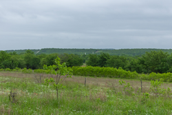 property photo for Harmony Hills Tract 3, 4.82 acres for sale in Pittsburg County, Oklahoma