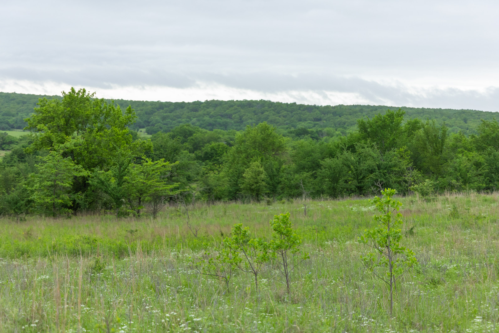 4.82 acre rural land tract for sale at Harmony Hills Tract 3 in Pittsburg County, Oklahoma