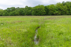 property photo for Harmony Hills Tract 31, 5.38 acres for sale in Pittsburg County, Oklahoma