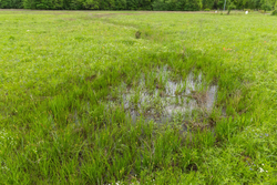 property photo for Harmony Hills Tract 31, 5.38 acres for sale in Pittsburg County, Oklahoma