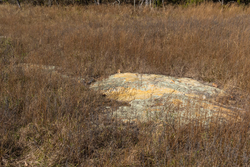 property photo for Harmony Hills Tract 36, 5.44 acres for sale in Pittsburg County, Oklahoma
