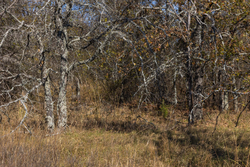property photo for Harmony Hills Tract 36, 5.44 acres for sale in Pittsburg County, Oklahoma