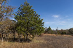 property photo for Harmony Hills Tract 36, 5.44 acres for sale in Pittsburg County, Oklahoma