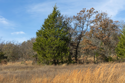 property photo for Harmony Hills Tract 36, 5.44 acres for sale in Pittsburg County, Oklahoma
