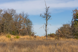 property photo for Harmony Hills Tract 36, 5.44 acres for sale in Pittsburg County, Oklahoma