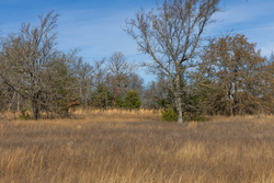 property photo for Harmony Hills Tract 36, 5.44 acres for sale in Pittsburg County, Oklahoma