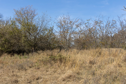 property photo for Harmony Hills Tract 37, 7.33 acres for sale in Pittsburg County, Oklahoma