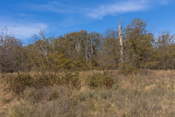 property photo for Harmony Hills Tract 37, 7.33 acres for sale in Pittsburg County, Oklahoma