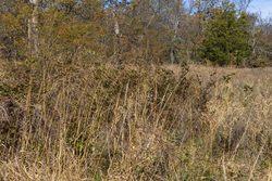 property photo for Harmony Hills Tract 37, 7.33 acres for sale in Pittsburg County, Oklahoma