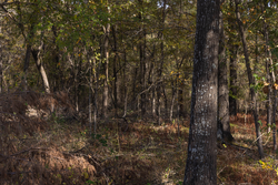 property photo for Harmony Hills Tract 39, 8.26 acres for sale in Pittsburg County, Oklahoma