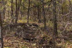 property photo for Harmony Hills Tract 39, 8.26 acres for sale in Pittsburg County, Oklahoma