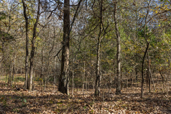 property photo for Harmony Hills Tract 39, 8.26 acres for sale in Pittsburg County, Oklahoma