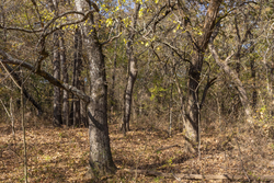 property photo for Harmony Hills Tract 39, 8.26 acres for sale in Pittsburg County, Oklahoma