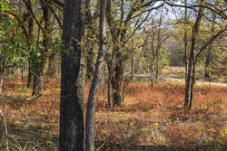 property photo for Harmony Hills Tract 39, 8.26 acres for sale in Pittsburg County, Oklahoma