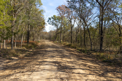 property photo for Harmony Hills Tract 39, 8.26 acres for sale in Pittsburg County, Oklahoma