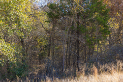 property photo for Harmony Hills Tract 40, 8.71 acres for sale in Pittsburg County, Oklahoma