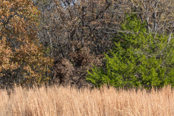 property photo for Harmony Hills Tract 40, 8.71 acres for sale in Pittsburg County, Oklahoma