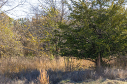 property photo for Harmony Hills Tract 40, 8.71 acres for sale in Pittsburg County, Oklahoma